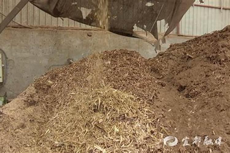 如何自制钾肥 自制钾肥用什么原料