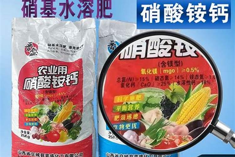 桃树开花打什么药