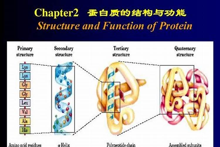 含有蛋白质,碳水化合物,微量元素的食物有哪些？