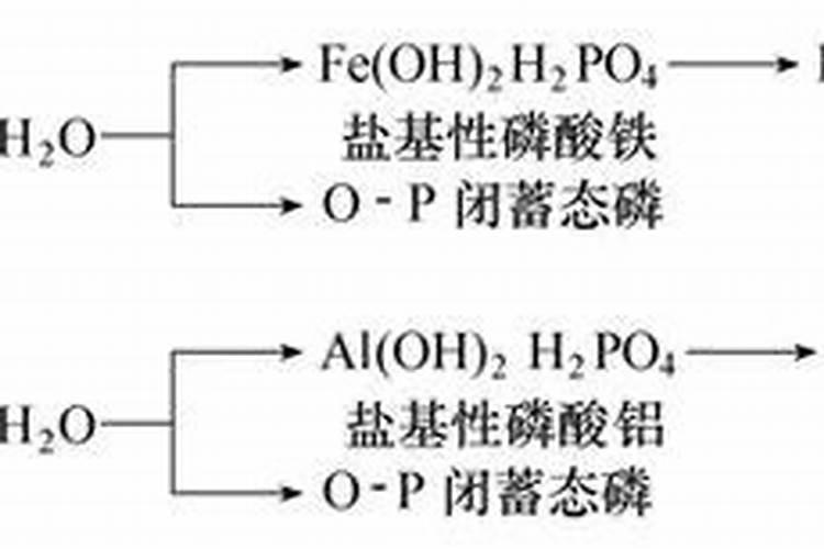 植物磷肥种类有哪些？