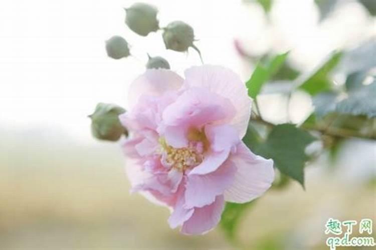 上海德森包装储运有限公司怎么样？