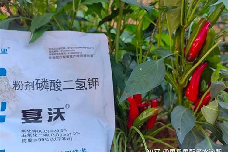 果树什么时候打磷酸二氢钾