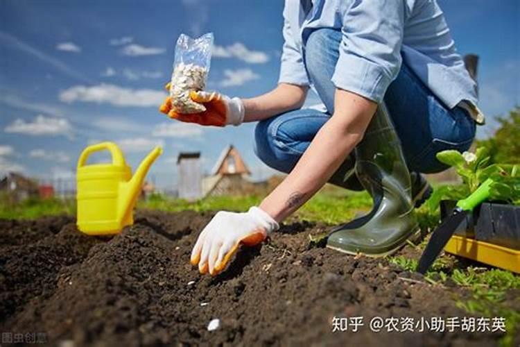 矿源黄腐酸钾冲施肥,矿源黄腐酸钾多少钱一点吨,矿源黄腐酸钾抗病虫害...