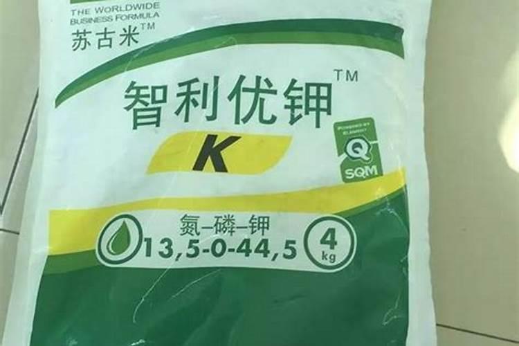 云豆生菜黄瓜韭菜苦菊南瓜 蔬菜施牛,马粪肥可以吗？