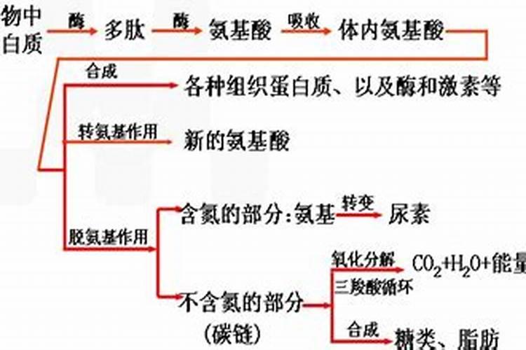 氮,氨氮,有机氮,无机氮的区别