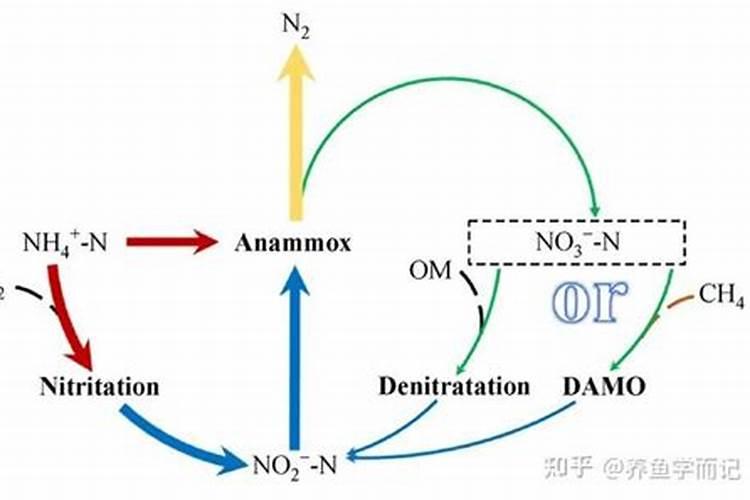 氨氮是什么？都有哪些主要来源？