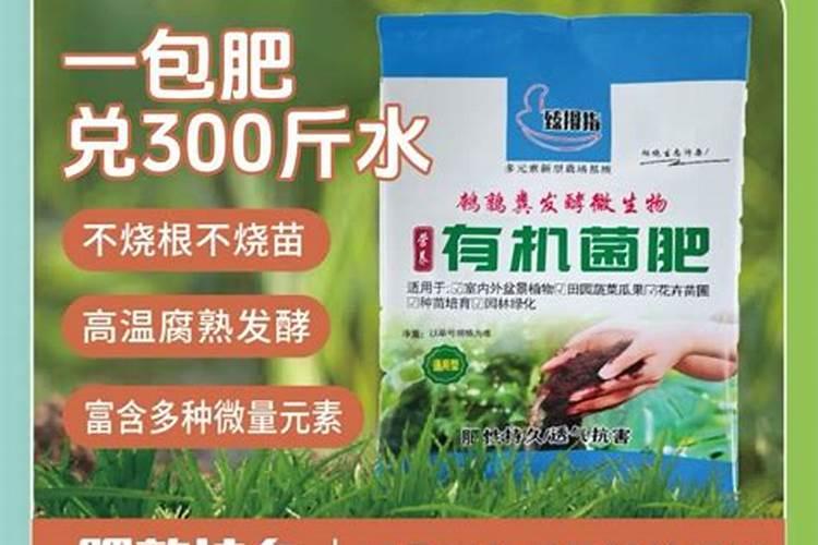 花生后期喷什么叶面肥最好