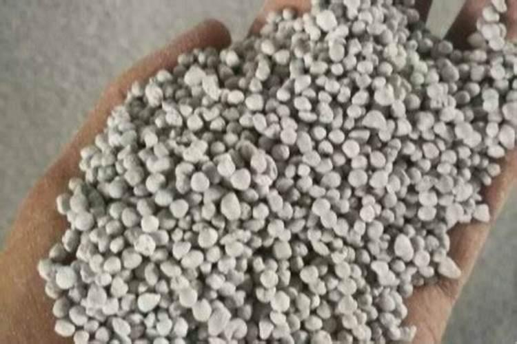 兰花最实用的肥料