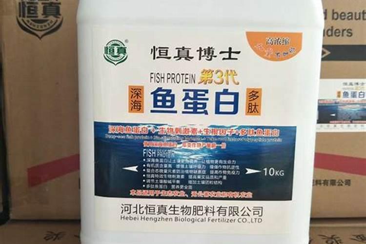 30斤鱼蛋白灌根最佳方法