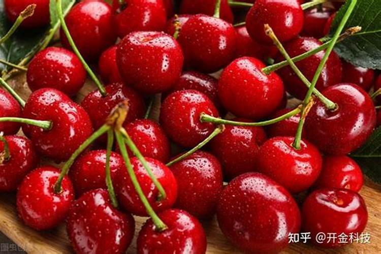 樱桃树怎样促进花芽分化,需要用什么肥料？