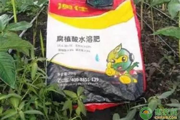 花生开花打矿源黄腐酸钾可以吗