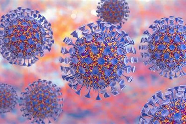 病毒在氮循环中的作用