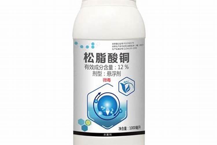 柑橘下半年养护技术重点