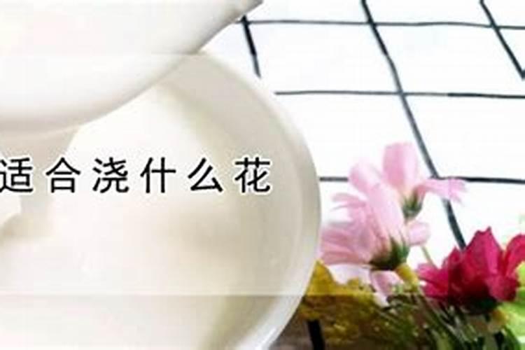 酸奶适合浇什么花