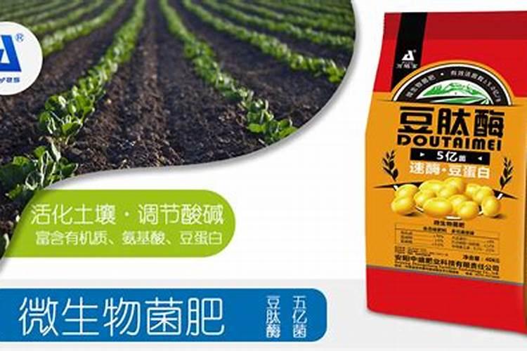 现在市面上有哪些牌子的菌肥