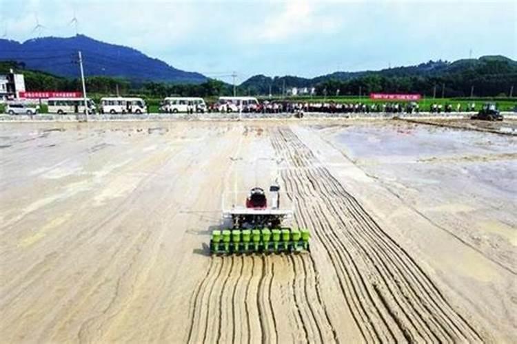 打韭菜叶面肥40斤水放多少,白醋