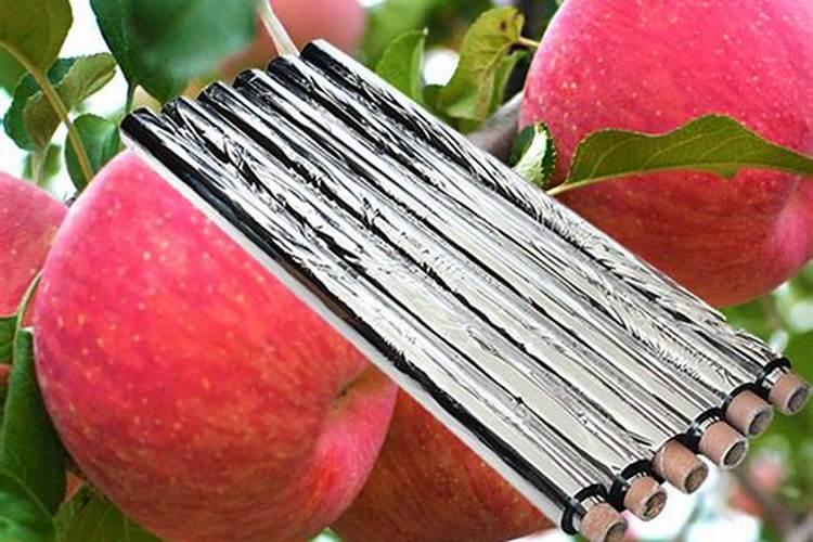 水果越来越甜了最简单三个步骤