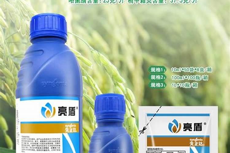 柑橘施肥时间和用量？柑橘叶面肥有哪些？