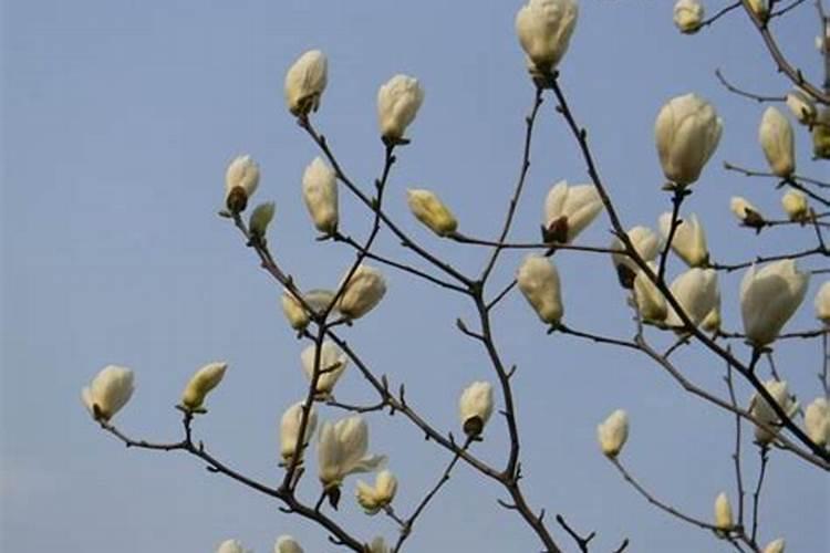 怎么样制作氮肥