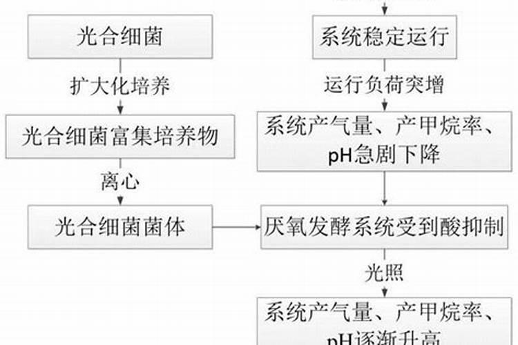 鱼蛋白液体肥制作工艺,鱼蛋白液体肥设备