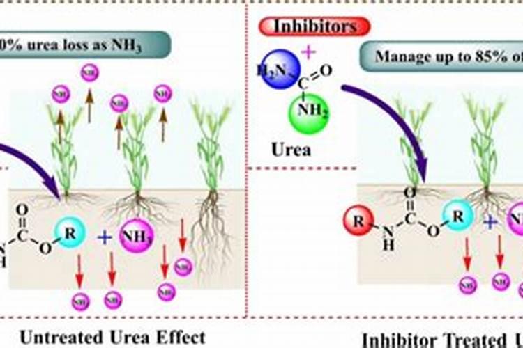 肥料增效剂一般有哪些