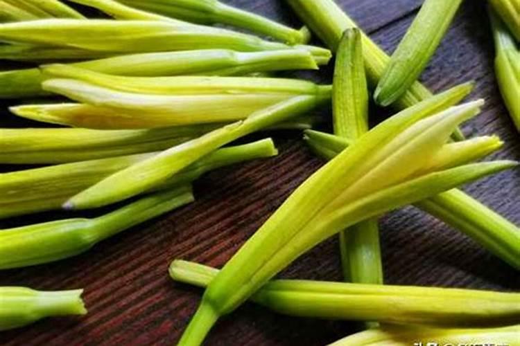 黄花菜苗怎么种植