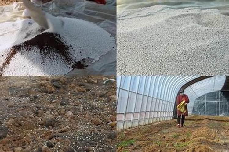 尿素肥的正确使用方法