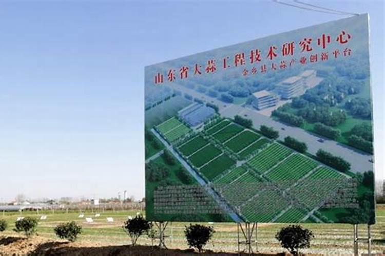 大蒜叶面肥配方大全