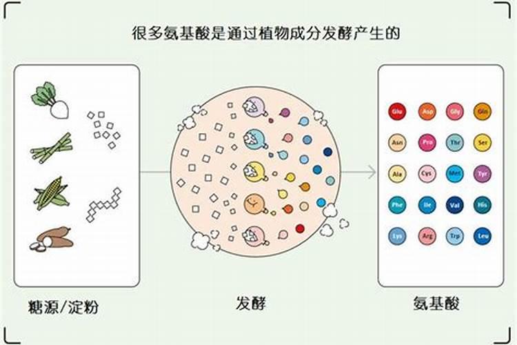 怎样用安其酵母制作叶面肥料