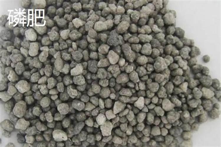 小麦用什么含量的复合肥 小麦用什么含量的复合肥啊