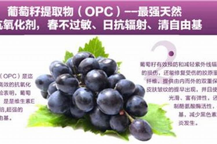 什么肥让花朵鲜艳