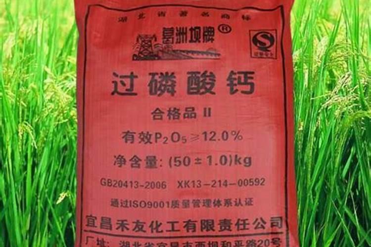 什么肥属于磷肥
