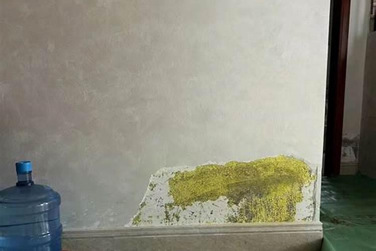 碱地用什么去碱 碱地里面适合种什么