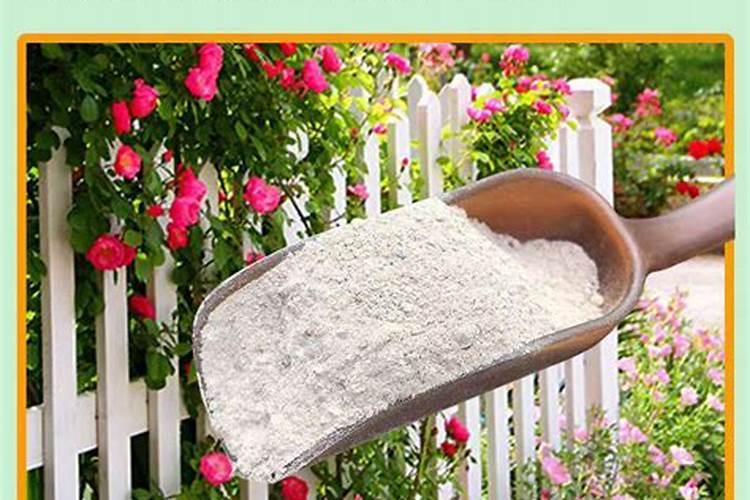 骨粉的正确施肥方法