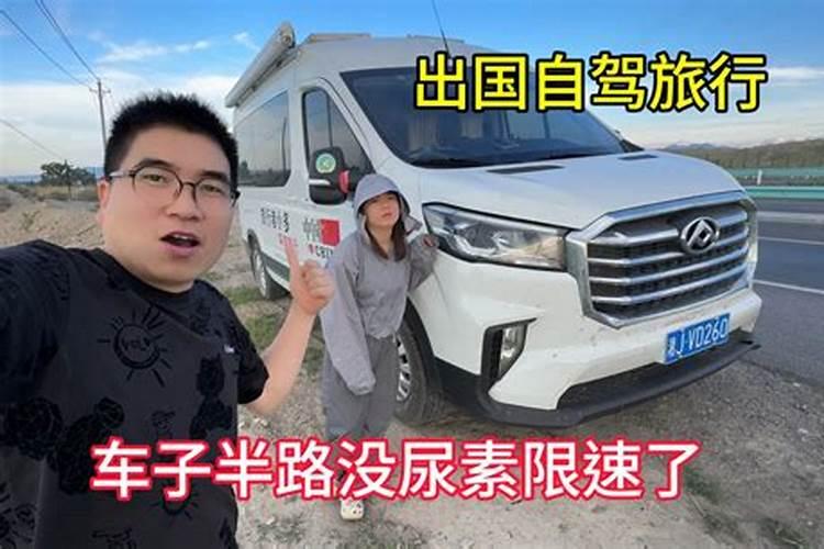 作物缺氮有那些表现？该如何补充？(附氮肥施用方法)