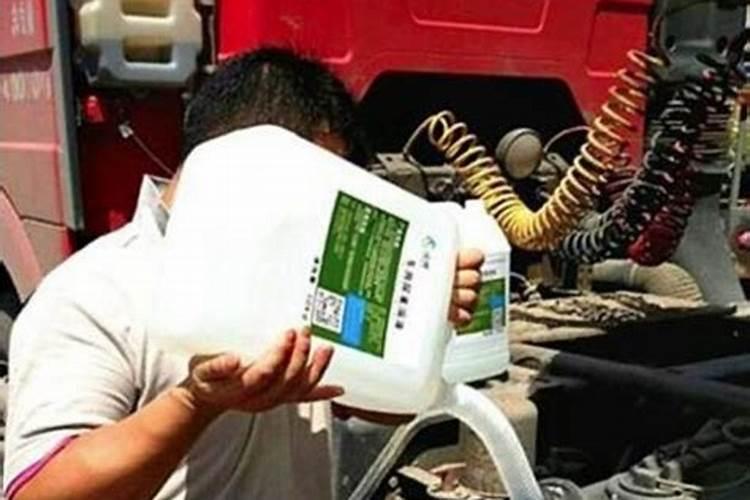 速效氮肥有什么