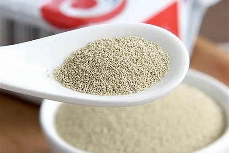 鱼蛋白水肥微生物发酵工艺流程