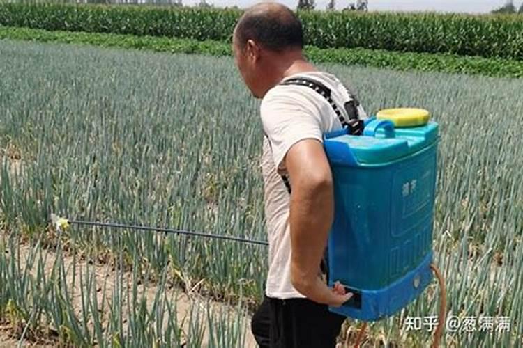 西瓜五斤左右用复合肥,尿素,水溶肥,钾肥一起施可以吗