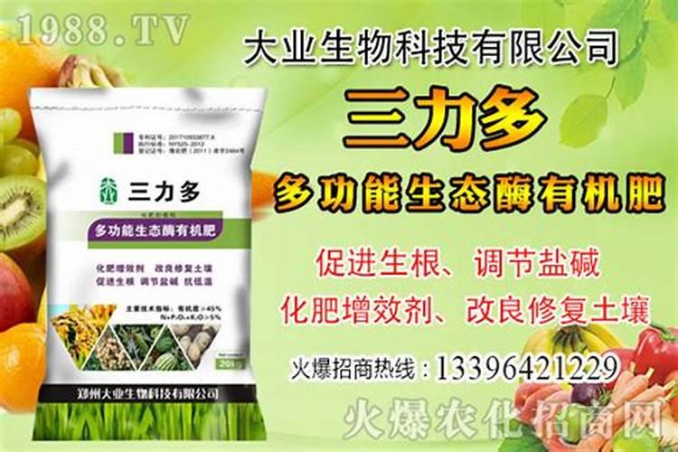 盐碱地改良用什么肥料