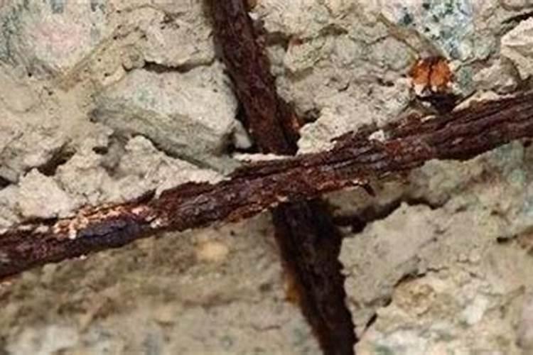 硫酸钾氯离子超标怎么处罚