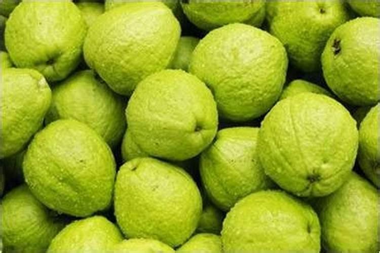 番石榴营养枝果不甜