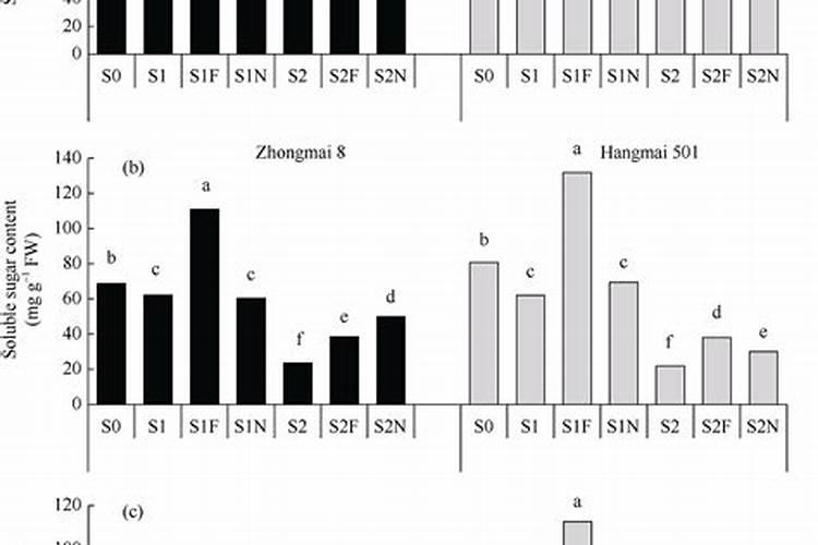 冬小麦拔节期怎么追肥 注意事项有哪些