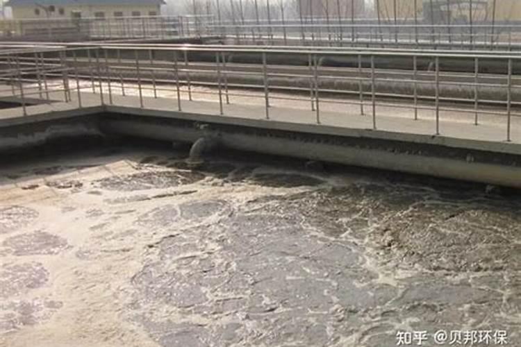 炼焦需要什么样的煤