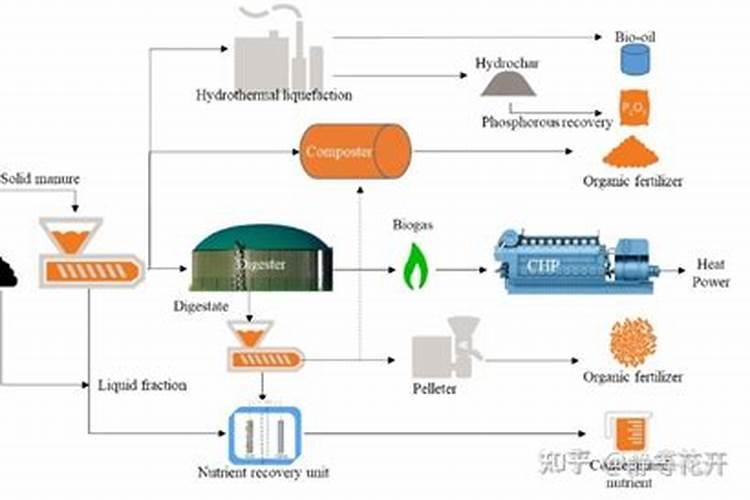 含氮高的肥料有哪些