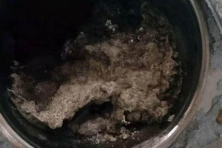 尿素当叶面肥使用方法