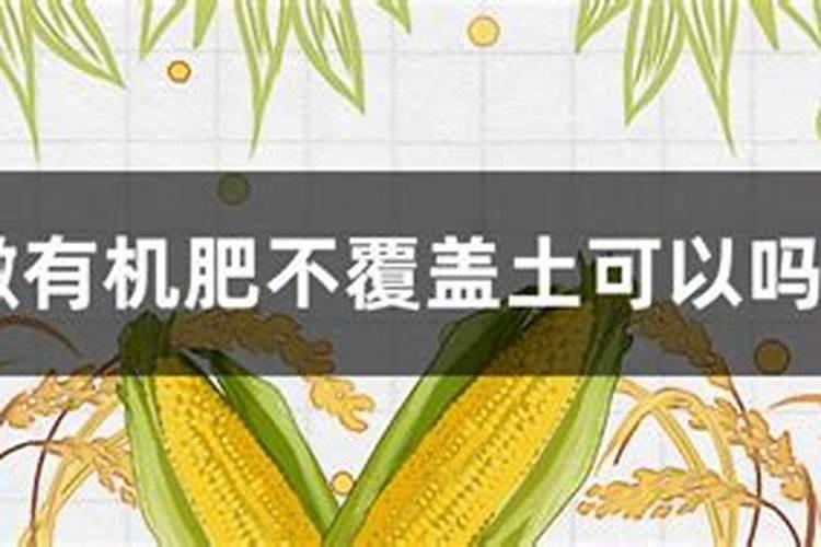 发酵豆粕有机肥的使用方法？