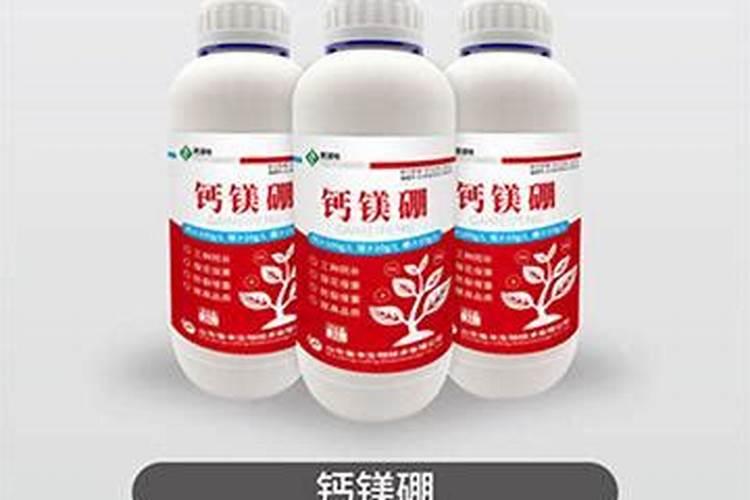 兰花施什么肥料长得好