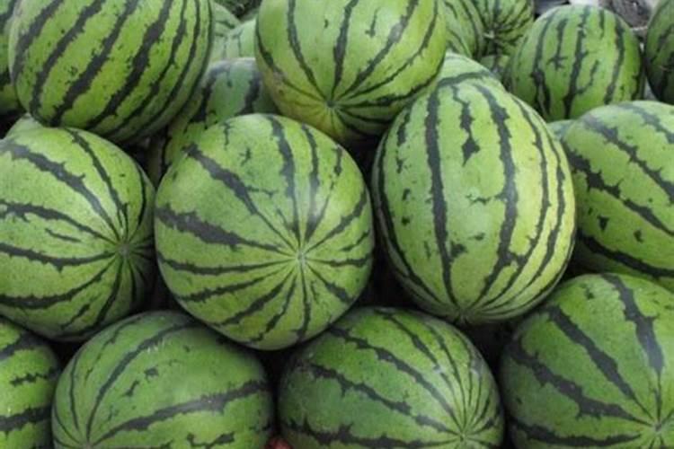 西瓜一亩地上多少底肥料？