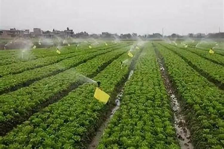 腐植酸肥料的作用和使用方法