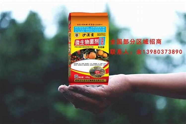 冲施肥用腐殖酸好还是黄腐殖酸好